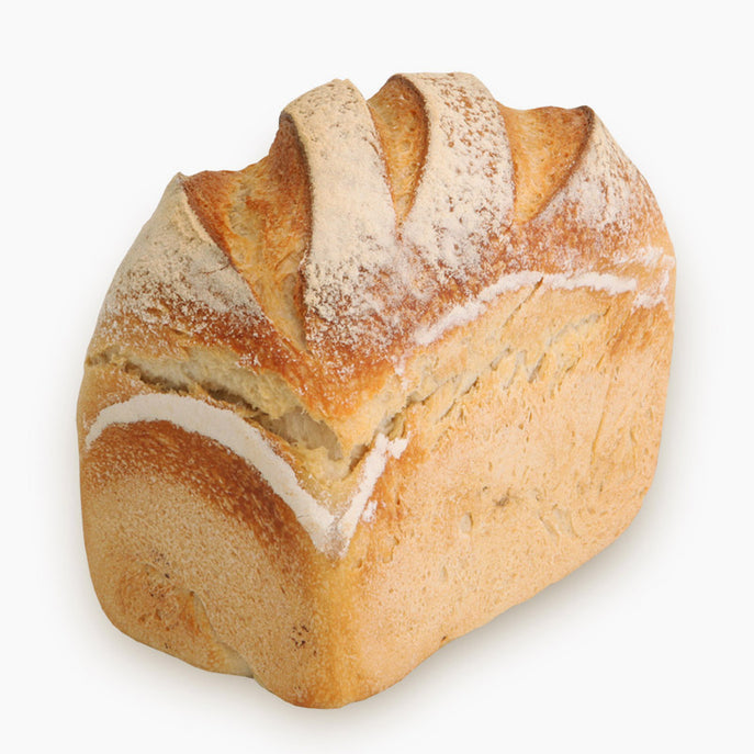 a sample image